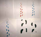 creation3.jpg (51241 octets)